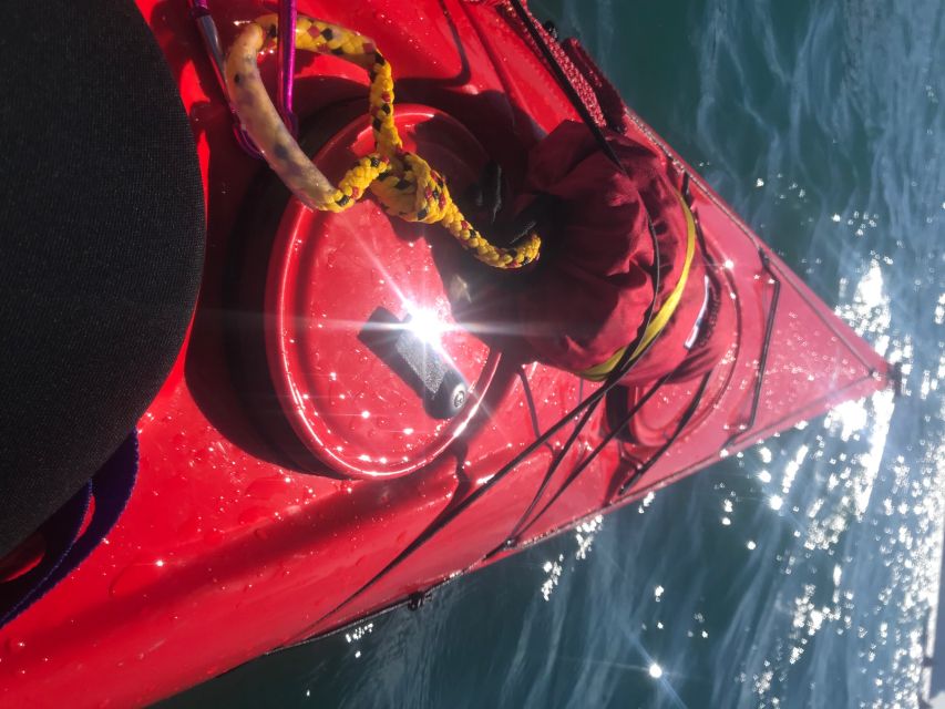 Heidelberg: 2-Hour Kayak Tour - Participant Requirements