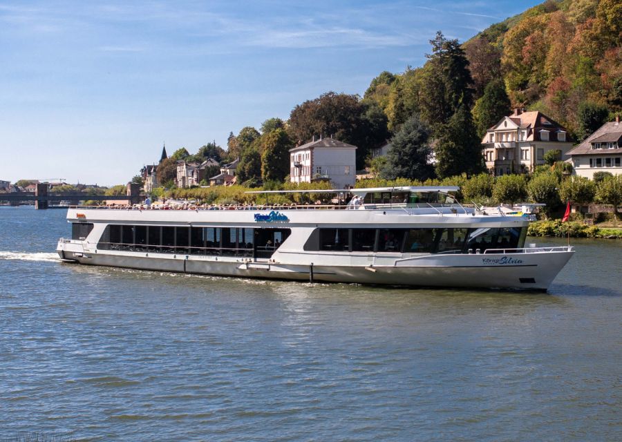 Heidelberg: Breakfast Boat Cruise - Accessibility and Meeting Point