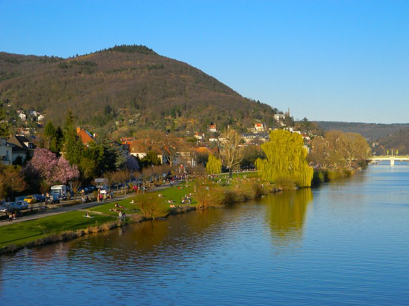 Heidelberg: City of Romance 2-Hour Walking Tour - Insights From the Live Guide