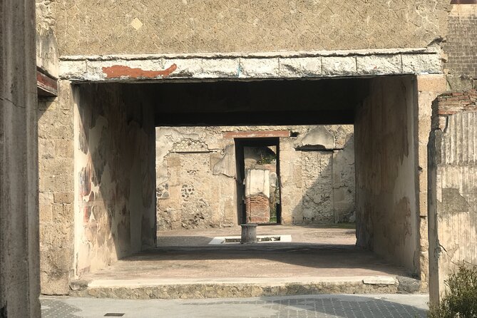 Herculaneum Private Tour With an Archaeologist - Meet Your Archaeological Guide