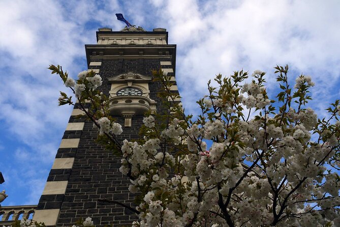 Heritage Dunedin City Walking Guided Tour - Customer Experiences and Feedback