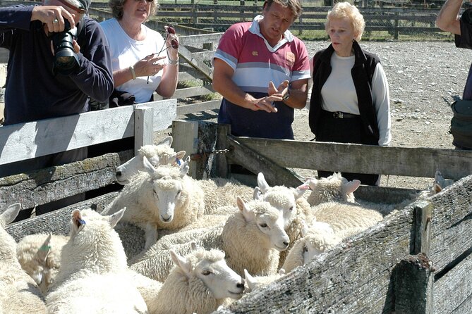 High Country Discovery Tour From Queenstown - Inclusions and Exclusions