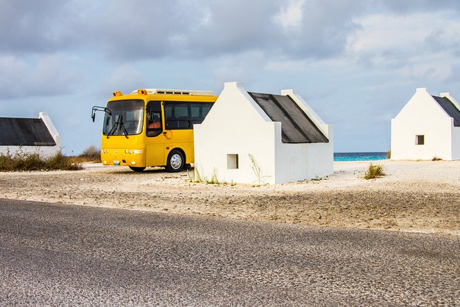 Highlights of Bonaire & Cultural Experience - Recommended Preparations for Travelers