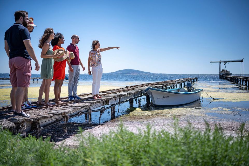 Highlights of Sète, Wine and Oyster Tour - Winery Visit and Tasting