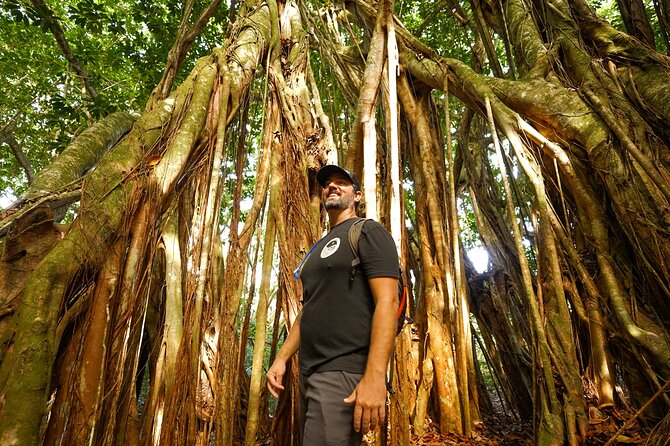 Hike Honolua Ridgeline - Educational Insights From Guides