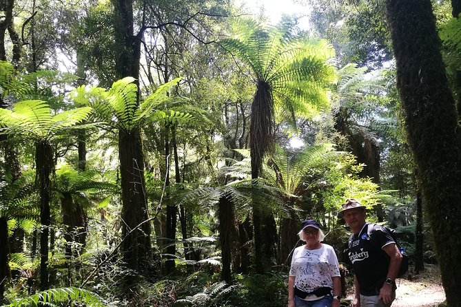 Hike New Zealands Finest Forest - Whirinaki Forest - Recommended Fitness Levels
