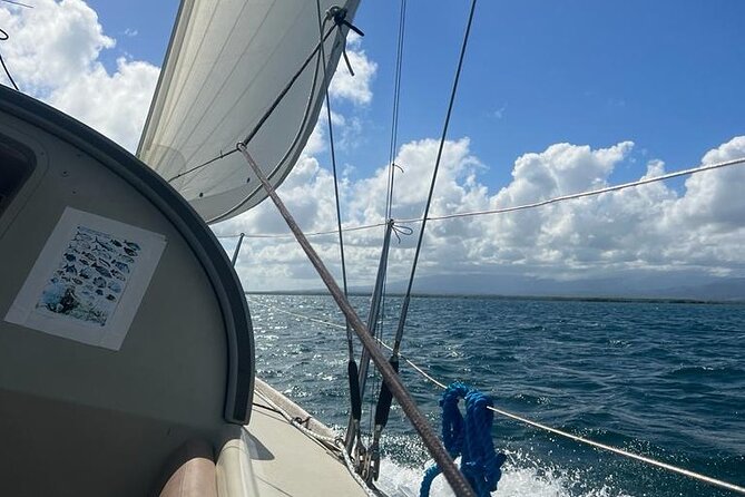 Hiking 100% Sailing 100% Ecological: Lagoon Snorkelling Paddle - Eco-Friendly Practices