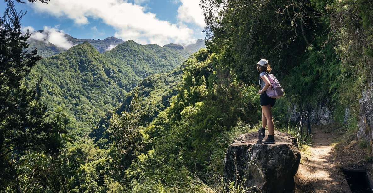 Hiking Levadas of Madeira: Levada Do Rei - Participant Reviews