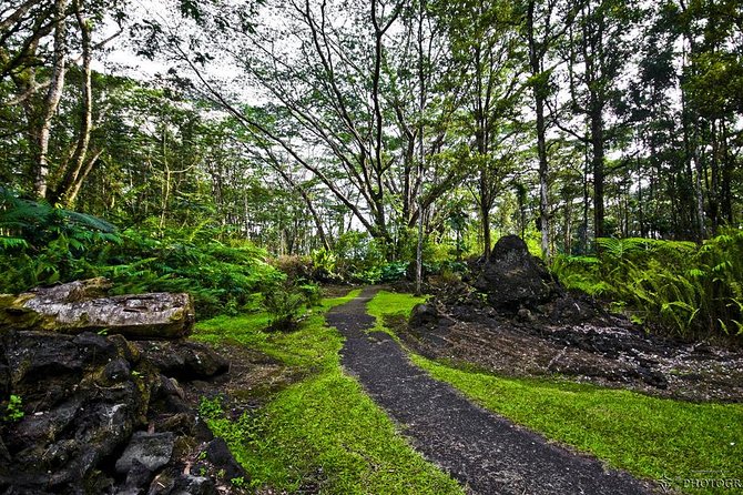 Hilo Shore Excursion: Safari Lava Caves, Falls and Highlights - What to Expect