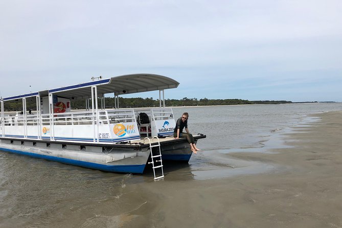 Hilton Head Dolphin Tour With Stop at Disappearing Island - Accessibility Information