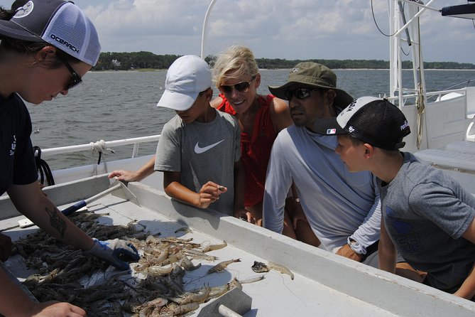 Hilton Head Shrimp Trawling Boat Cruise - Wildlife and Ecosystem Highlights