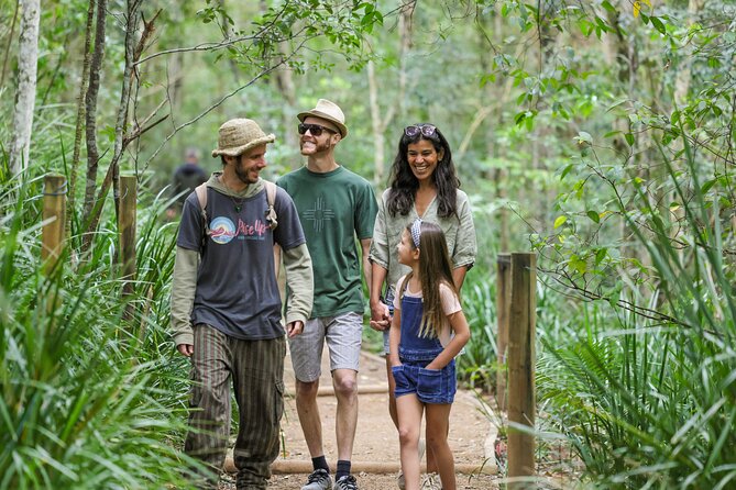 Hinterland Magic & Glow-worm Experience - Highlights of the Tour