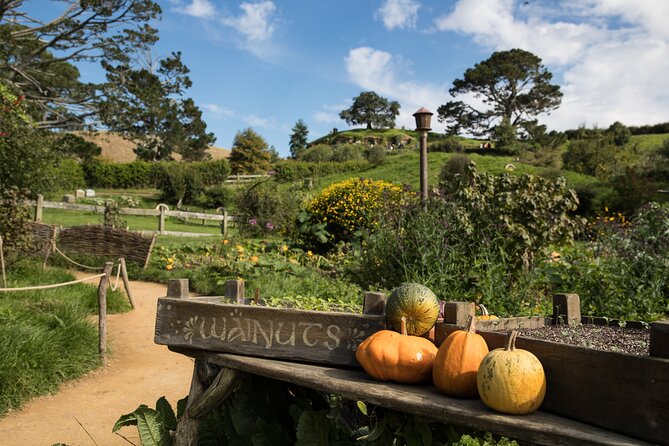 Hobbiton Day Tour From Rotorua With Lunch at Hobbiton - Exploring the Hobbiton Set
