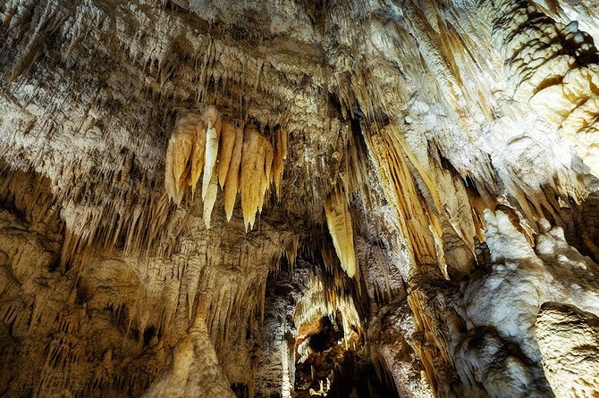 Hobbiton & Waitomo Caves Small Group Tour From Auckland - Meeting and Pickup Details