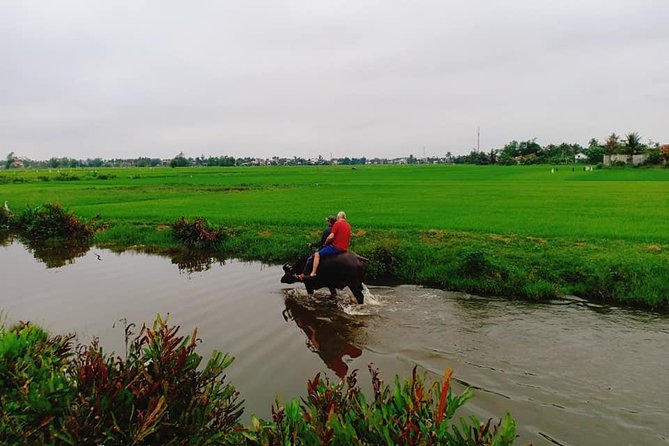 Hoi an Countryside Tour With Bamboo Basket Boat Rowing , Buffalo Ride, Farming - Highlights of the Experience