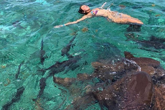 Hol Chan Full-Day Bucket List Snorkeling and Marine Life Tour - Booking Information and Tips