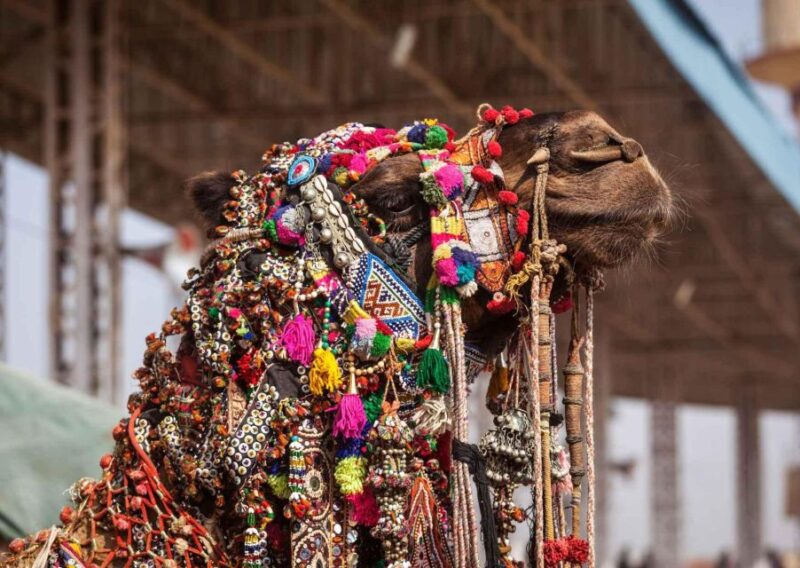Holy Pushkar and Ajmer Trails (Guided Full Day Tour) - Additional Costs Explained