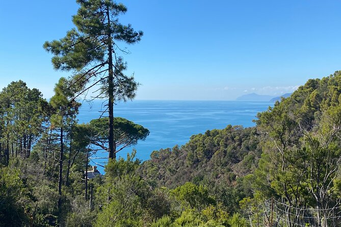 Horse Ride on the Coast of Monterosso Al Mare Cinque Terre - Confirmation and Accessibility