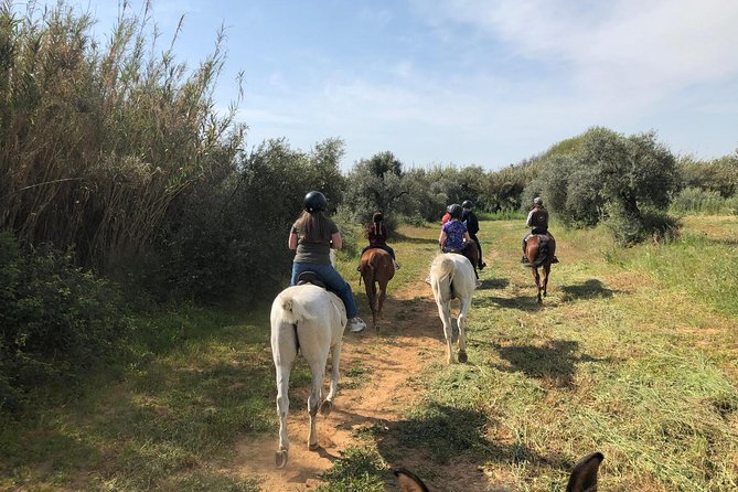 Horse Riding Excursion From Seville - Health and Safety Guidelines