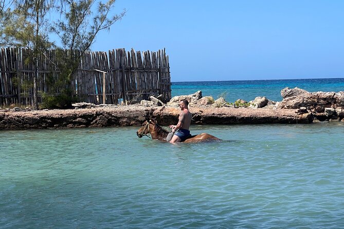 Horseback Ride and Swim Tour In Montego Bay - Customer Experiences and Feedback