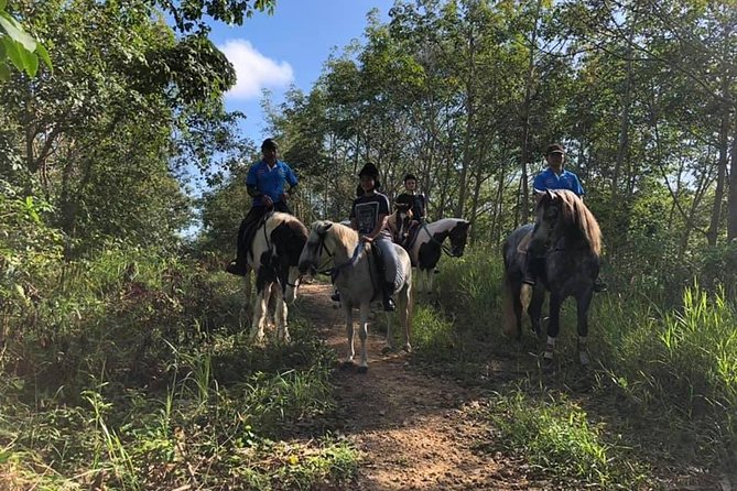 Horseback Riding 1 Hour Trail - Transportation Options