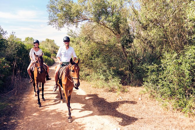 Horseback Riding in Bodrum - Scenic Routes in Bodrum