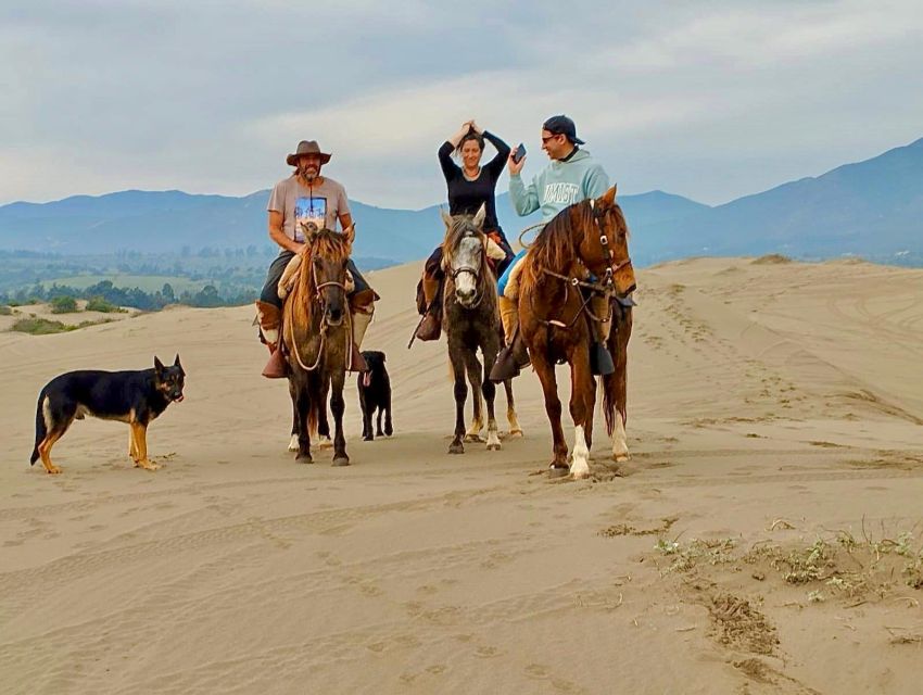 Horseback Riding, Penguins, Winery, Alpacas & Cowboy BBQ - Wildlife Viewing Opportunities
