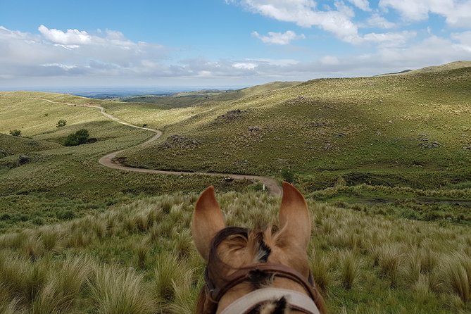 Horseback Riding Through the Sierras - Riding Equipment and Safety