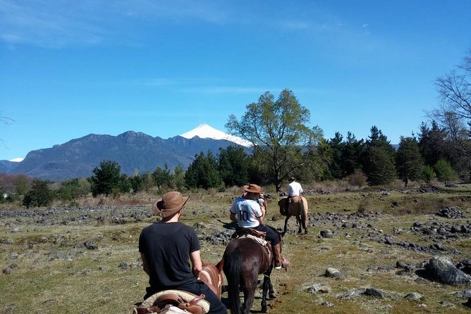 Horseback Trailride Excursion - Booking Information