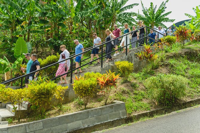 Hotel Chocolat: From Tree to Bar Tour With Tasting in St. Lucia - Inclusions