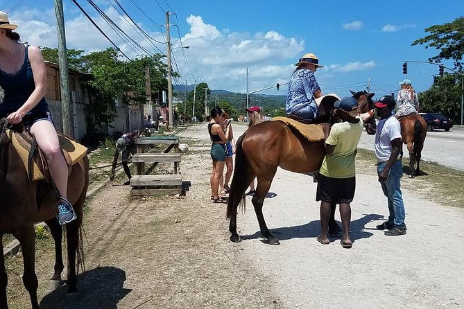 Hour Horseback Riding Guided Tour From Runaway Bay - Ideal Participants for the Tour
