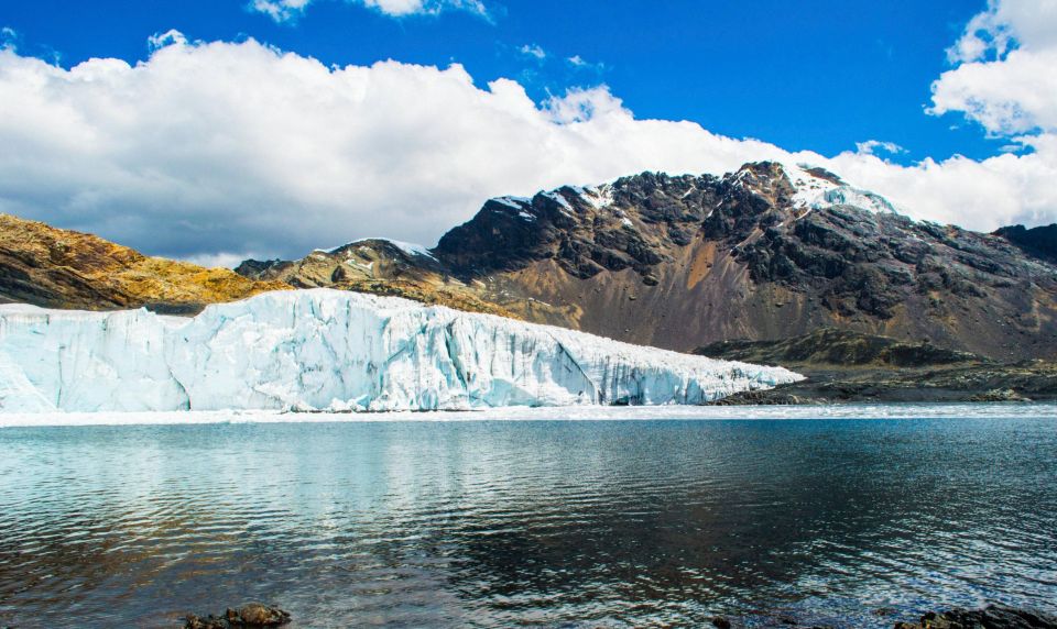 Huaraz: Nevado Pastoruri + Puyas Raymondi Forest - Puyas Raimondi Forest