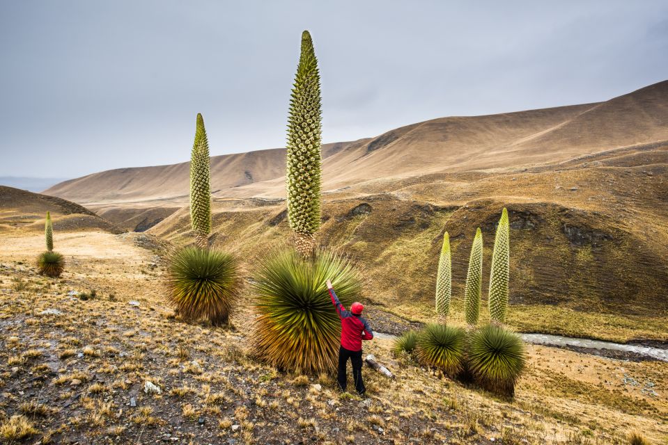 Huaraz: Pastoruri Glacier Day Trip - Exclusions