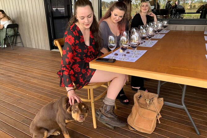 Hunter Valley Small Group Wine, Gin and Cheese Tour From Sydney - Accessibility Information