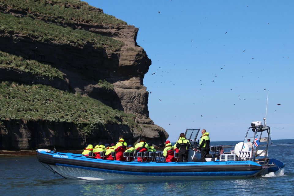 Húsavík: Big Whale Safari & Puffin Island Tour - Customer Reviews