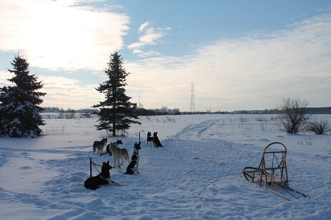 Husky Dog Sledding Tour From Riga - Pickup Locations and Details
