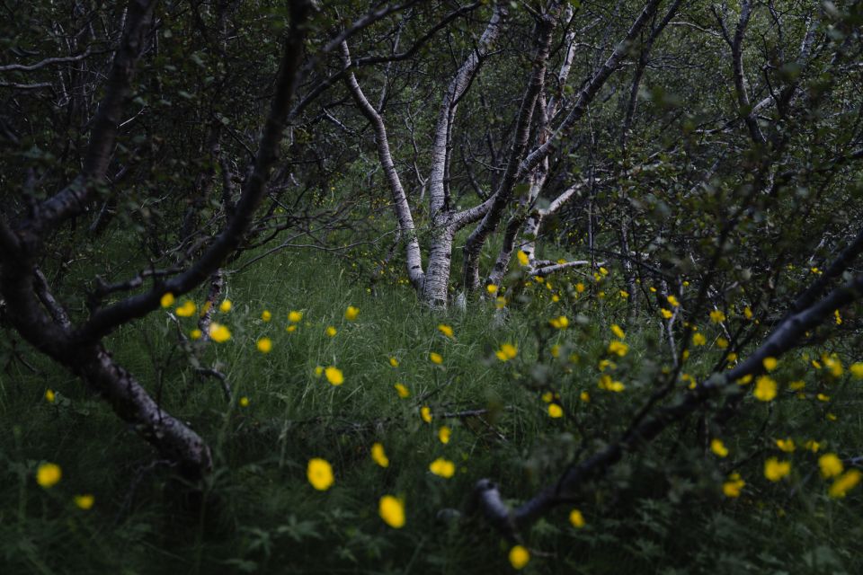 Hvolsvöllur: Private Thorsmork Guided Day Hike by Super Jeep - Booking Information