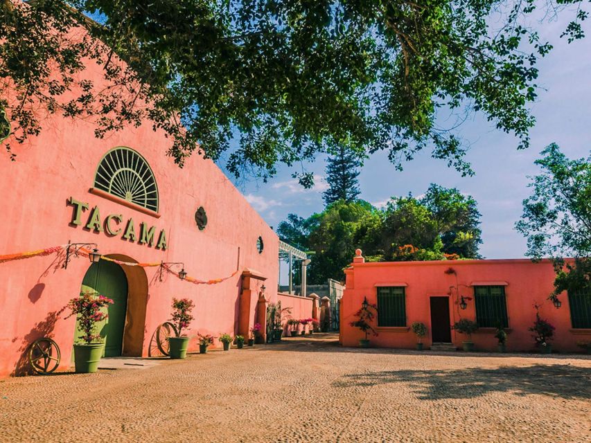 Ica: Pisco Route | Tacama, Arrabal, Bodega Lovera | - Wineries to Visit