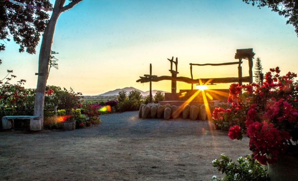 Ica: Pisco Wineries and Vineyards Day Tour - Important Information