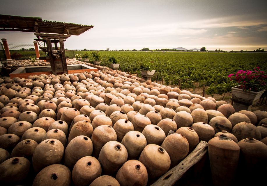 Ica: Private City Tour & Wine Tasting - Inclusions and Restrictions