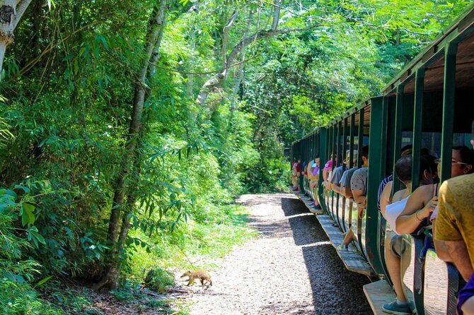 Iguazu Falls: Argentinian Side With Boat Ride, Jungle-Truck and Train - What to Expect on the Tour