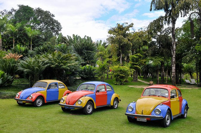 Inhotim - One of the Largest Open Air Museums in the World - Recommendations for Travelers
