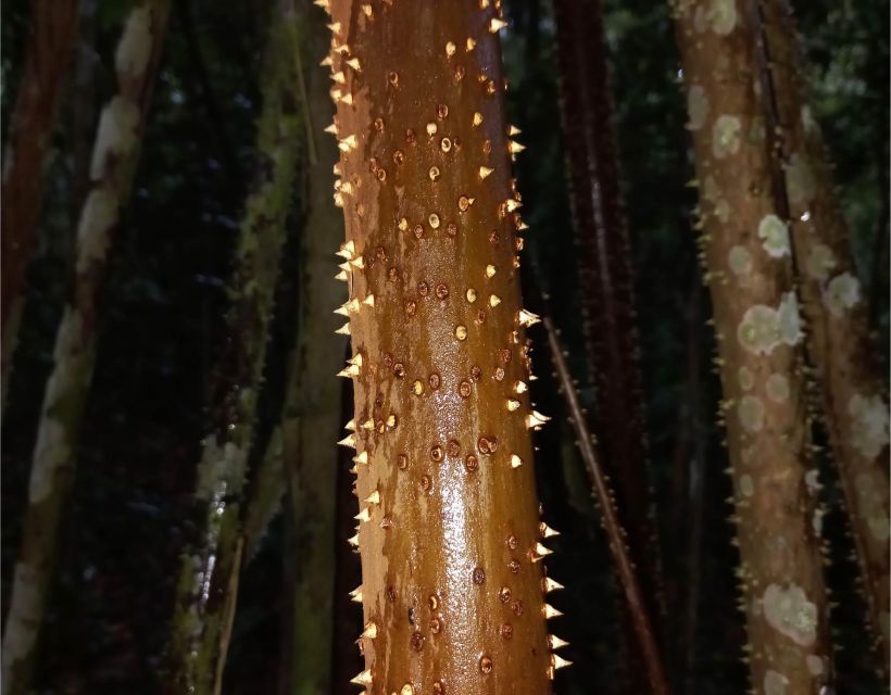 Iquitos: Private Tour of the Pacaya Samiria National Reserve - Botanical Excursion and Medicinal Plants