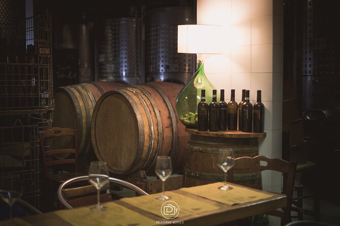Irpinia Tour of the Vineyards, Cooking Class and Wine-Tasting - Wine-Tasting Experience