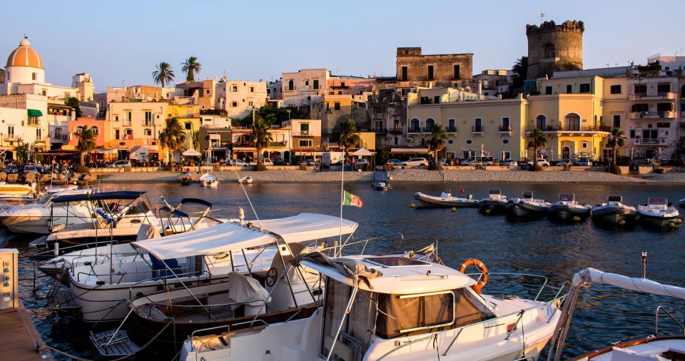 Ischia Island Discovery & Food Tour From Sorrento - Inclusions and Accessibility