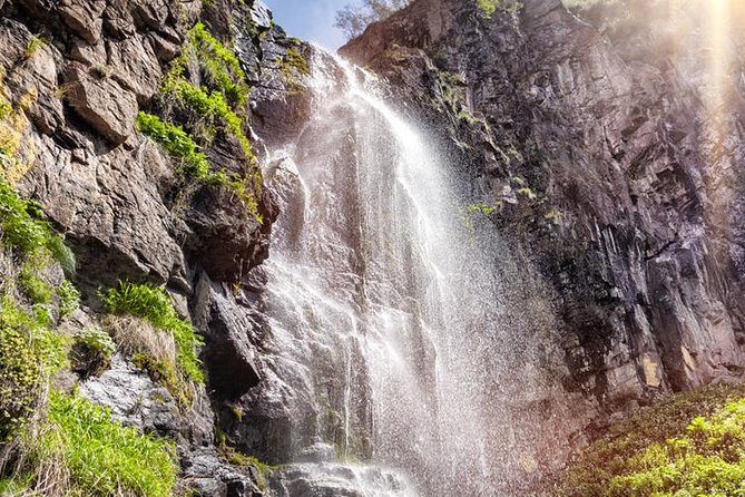 Issyk Lake & Bear Waterfall in Turgen Gorge + Golden Man Museum Day Tour - Customer Reviews and Feedback