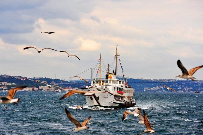 Istanbul Classics and Bosphorus Cruise Private Tour - Bosphorus Cruise Experience