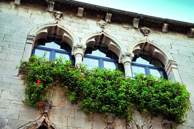 Istria in 1 Day Tour (from Rovinj) - Tour Experience and Feedback