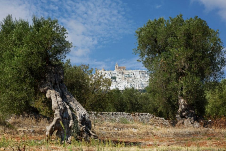 Itria Valley Van Tour: Beautiful Villages in Puglia - Inclusions