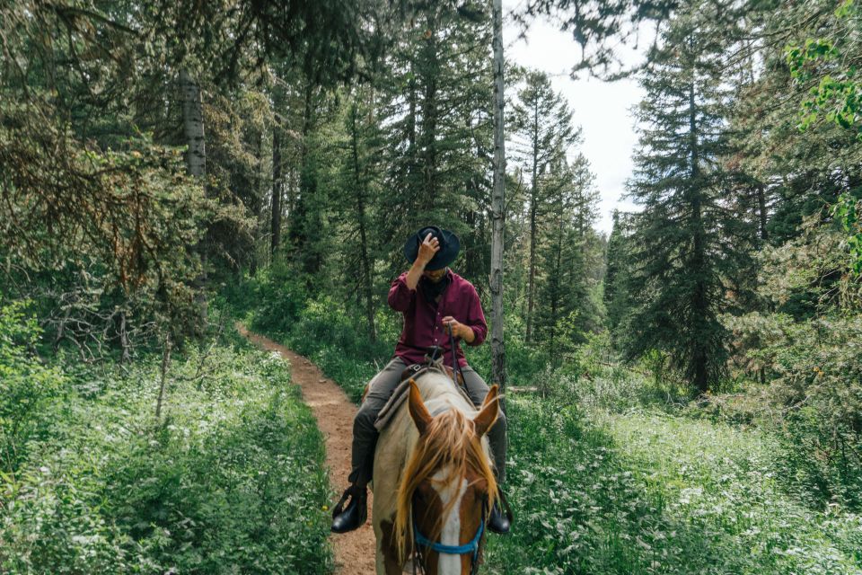 Jackson Signature 1/2 Day Ride Horseback Tour With Lunch - Historic Rim Rock Ranch